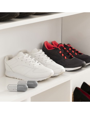Capsules Désodorisantes pour Chaussures Froes InnovaGoods 2 Unités