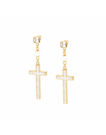 Ladies' Earrings Brosway BSL24