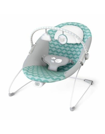 Amaca per Neonati Ingenuity Goji