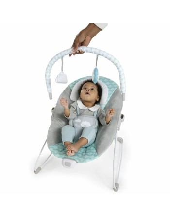 Baby Hammock Ingenuity Goji