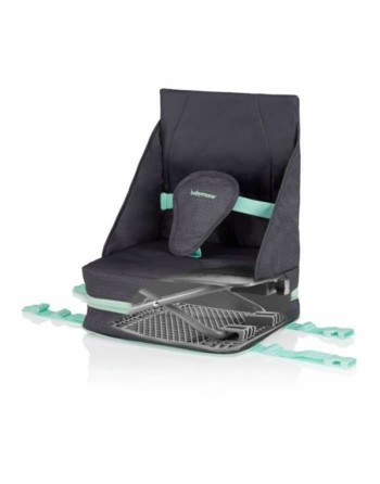 Ascensore Babymoov Up & Go Grigio