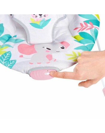 Baby Hammock Bright Starts Flamingo