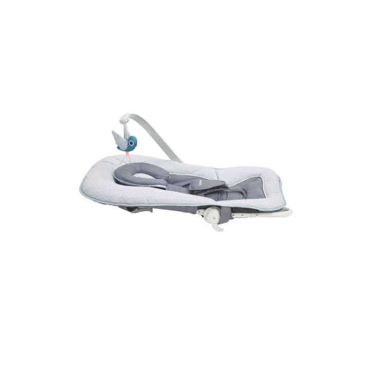 Hamaca para Bebé Babymoov A012433 Azul Blue