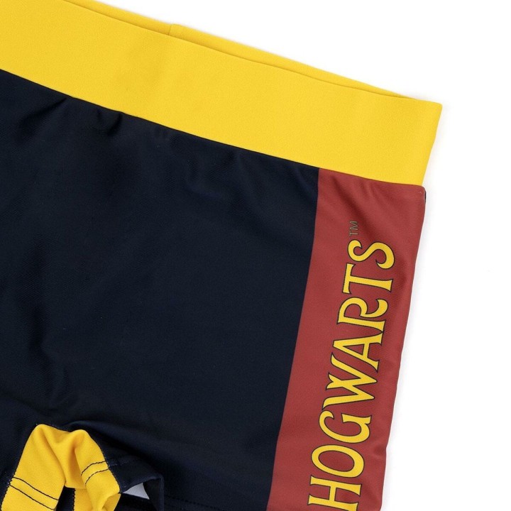 Drengebadebukserne Harry Potter Multifarvet