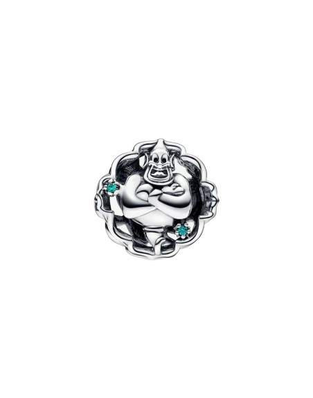 Woman's charm link Pandora 792349C01