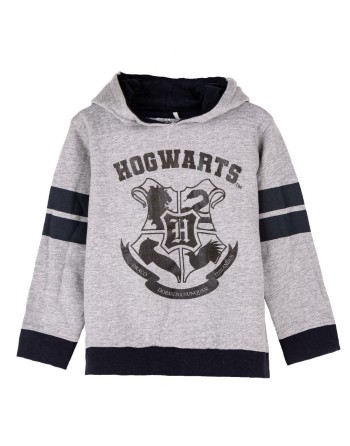 Jungen Sweater mit Kapuze Harry Potter Grau