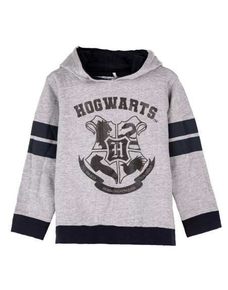 Felpa con Cappuccio Bambino Harry Potter Grigio