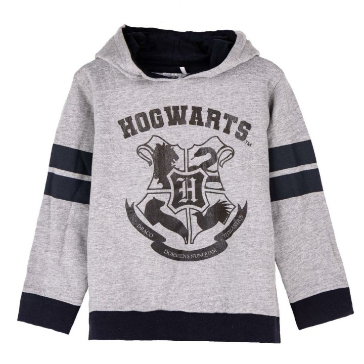 Hættetrøje til Børn Harry Potter Grå