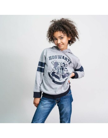 Jungen Sweater mit Kapuze Harry Potter Grau