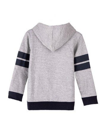 Felpa con Cappuccio Bambino Harry Potter Grigio