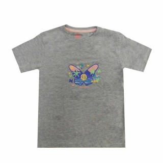 Børne Kortærmet T-shirt Rox Butterfly Lysegrå