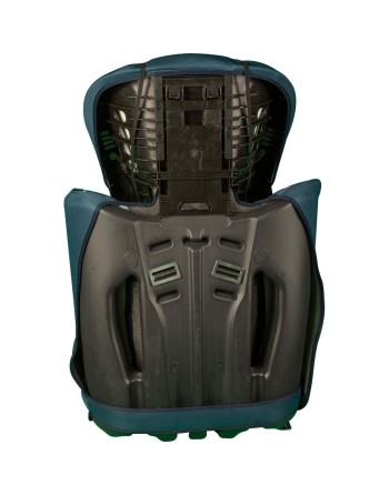 Autositz Winnie The Pooh CZ11031 9 - 36 Kg Blau