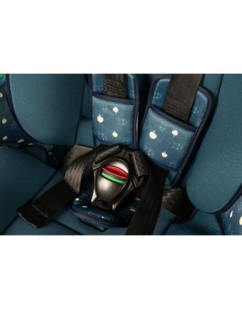 Autositz Winnie The Pooh CZ11031 9 - 36 Kg Blau