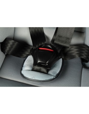 Autositz Hilo CZ11032 9 - 36 Kg Grau
