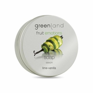 Soap Cake Greenland Fruit Emotions Lime Vanilla (100 ml)