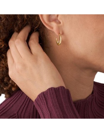 Pendientes Mujer Skagen SKJ1611710