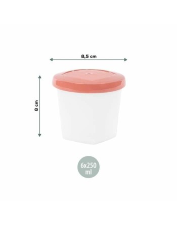 Ensemble de Boîtes à Lunch Babymoov A004318 Multicouleur 3 Unités