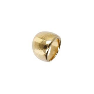 Ring til kvinder Etrusca WSET00322.YG-14 14