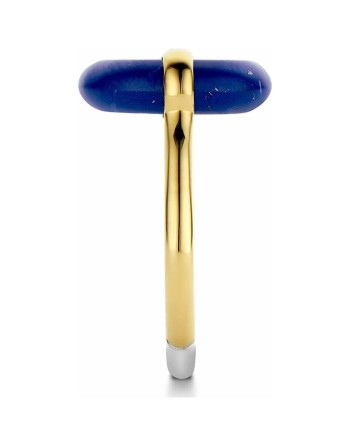 Damenring Ti Sento 12236BL/54 14