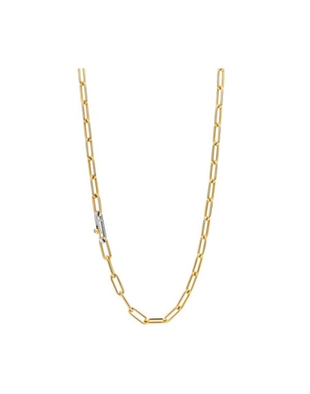 Collier Femme Ti Sento 3947SY/48
