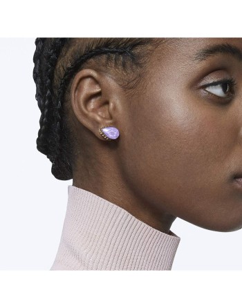 Øreringe til kvinder Swarovski  5641405