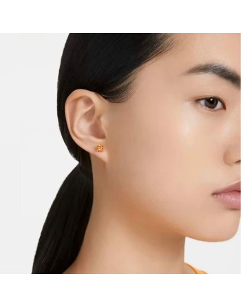 Orecchini Donna Swarovski  5639123