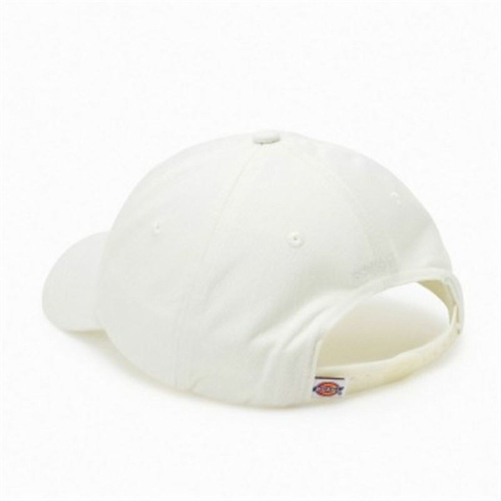 Sportshue Dickies Hardwick Cloud (Onesize)