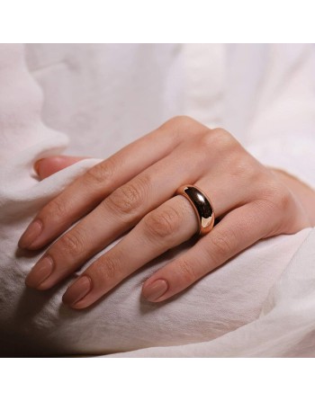 Damenring Ti Sento 12172SR/54 14