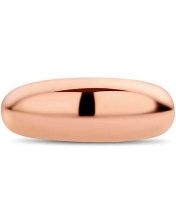 Ladies' Ring Ti Sento 12172SR/54 14