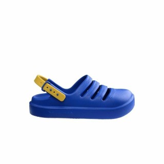Strandsandaler Havaianas Blå Børn