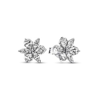 Orecchini Donna Pandora 292633C01
