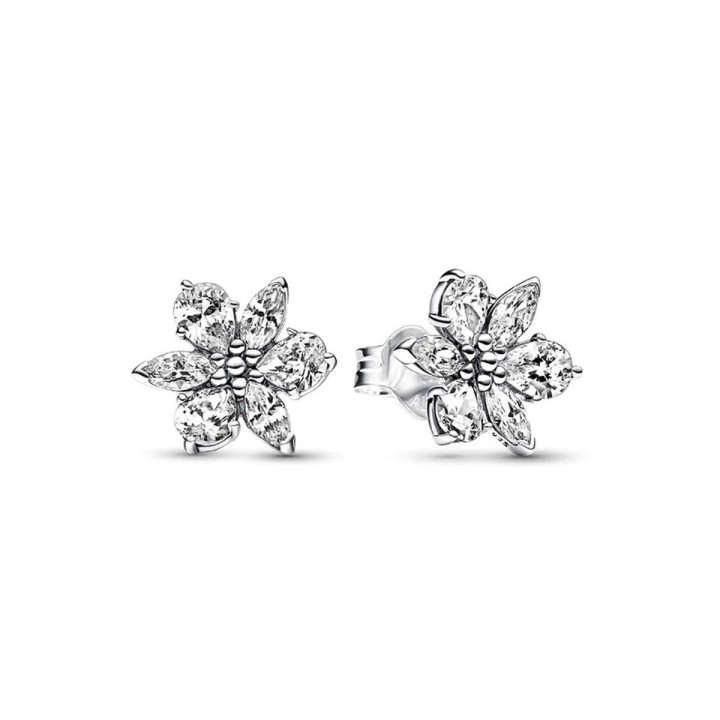 Orecchini Donna Pandora 292633C01
