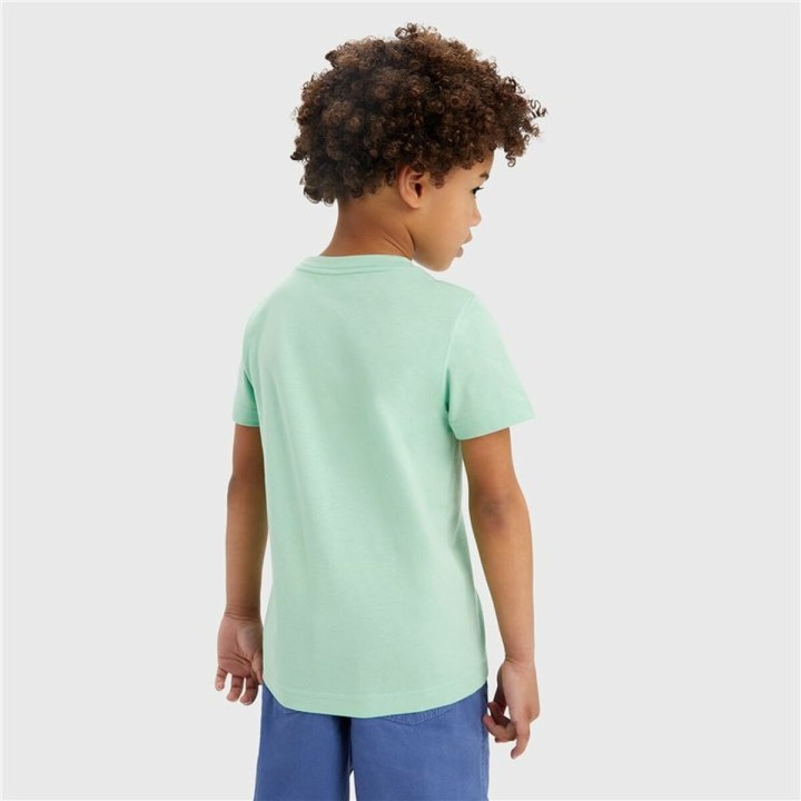 T-shirt Levi's Batwing Meadow  Akvamarin