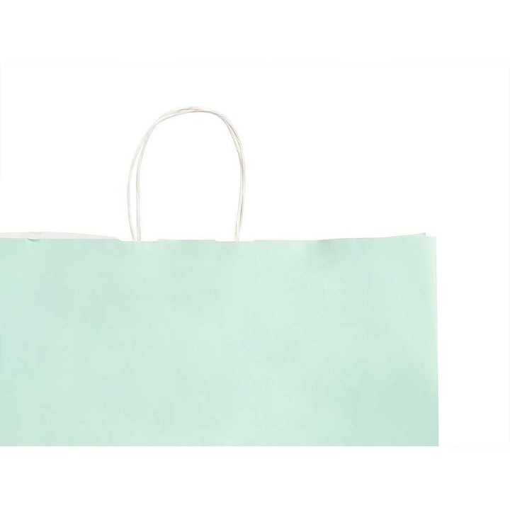 Sac en papier Vert 32 X 12 X 50 cm (100 Unités)