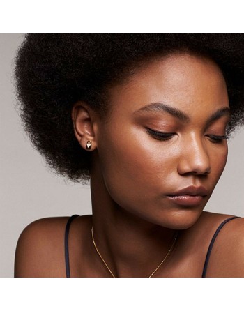 Boucles d´oreilles Femme Michael Kors MKC1010AN710 Argent 925