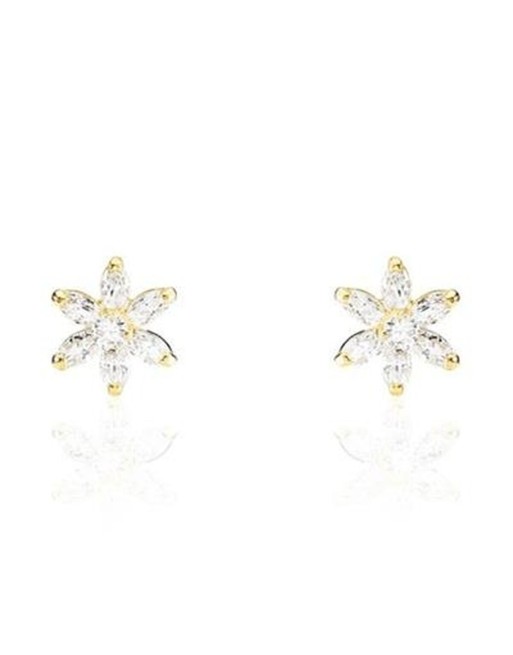 Boucles d´oreilles Femme Stroili 14017896