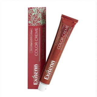 Tinte Permanente Exitenn Color Creme Fucsia (60 ml)