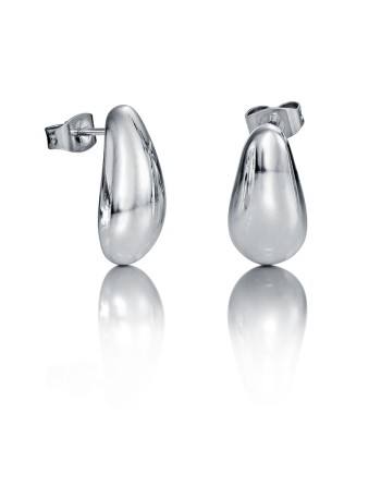 Ladies' Earrings Viceroy 50004E11000