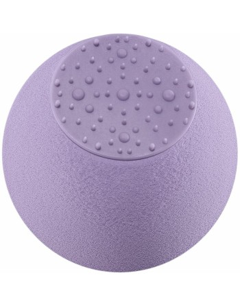 Éponge Faciale Exfoliante Real Techniques 4223 (1 Unités)