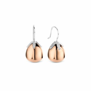 Boucles d´oreilles Femme Ti Sento 7775SR