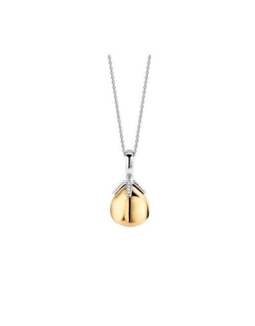 Collier Femme Ti Sento 6765SY