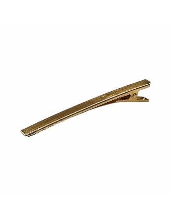 Hair clips Araban Golden