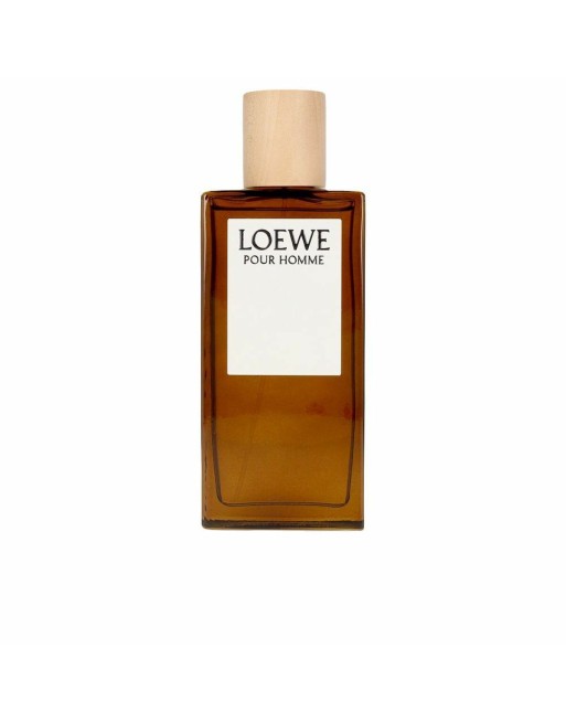 Parfum Homme Loewe LOEWE POUR HOMME EDT 100 ml