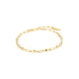 Armbånd til kvinder Ania Haie B025-02G 19 cm