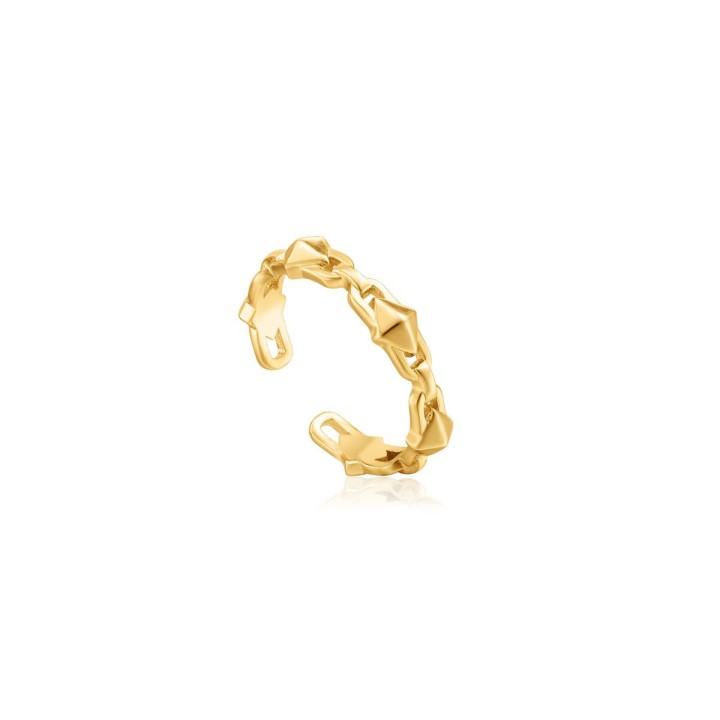 Ring til kvinder Ania Haie R025-02G (13)
