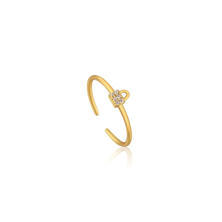 Ring til kvinder Ania Haie R032-02G (13)