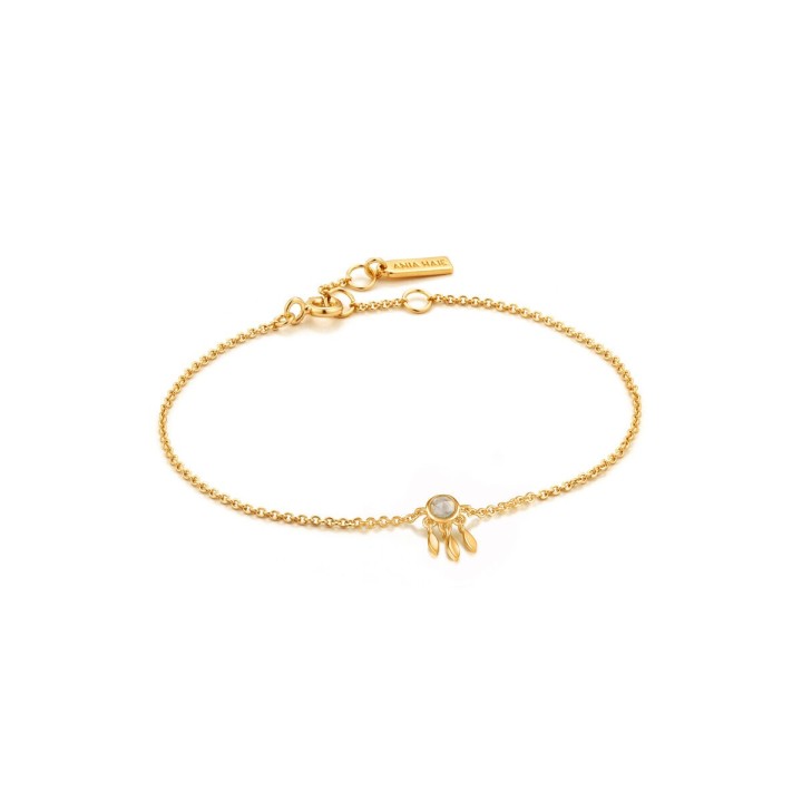 Armbånd til kvinder Ania Haie B026-02G 19 cm