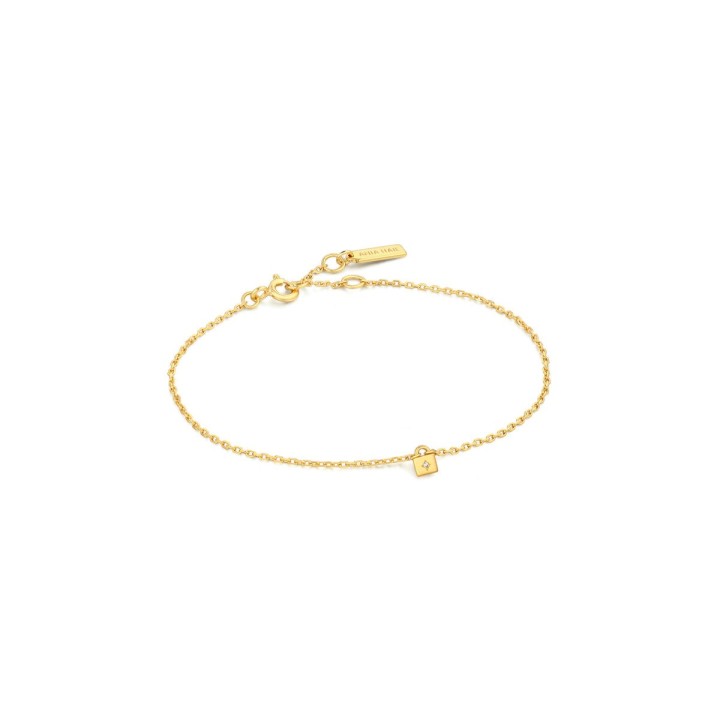 Armbånd til kvinder Ania Haie B032-02G 19 cm
