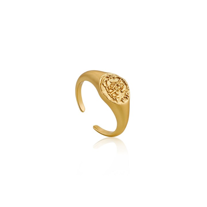 Ring til kvinder Ania Haie R009-03G (13)
