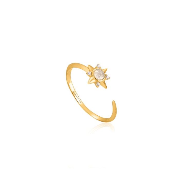 Ring til kvinder Ania Haie R026-03G (13)